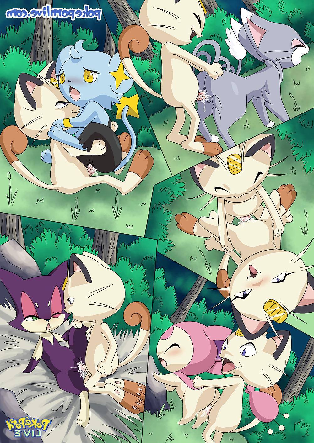 24P Pokeporn Live-The Cat's Meowth