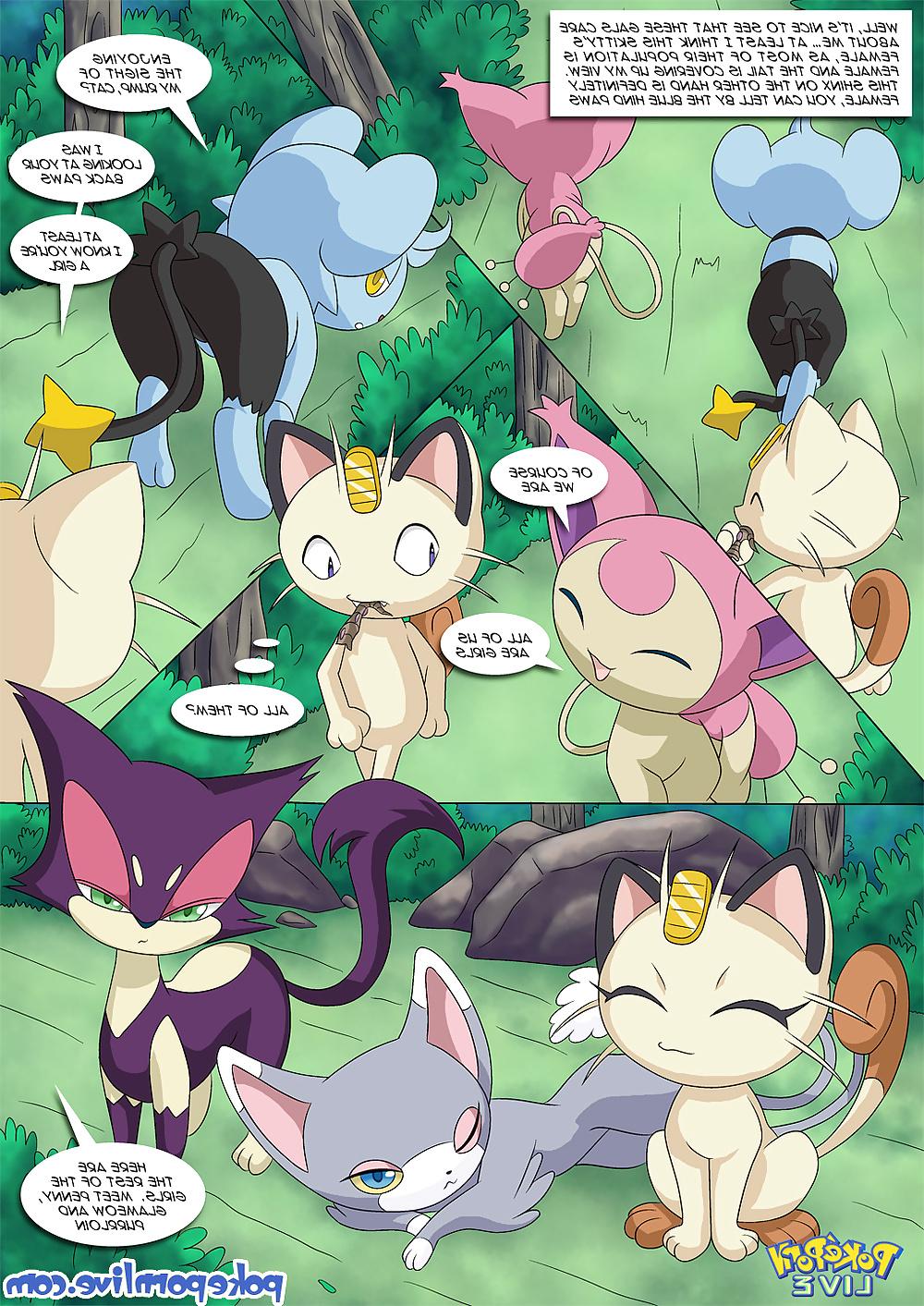 24P Pokeporn Live-The Cat's Meowth