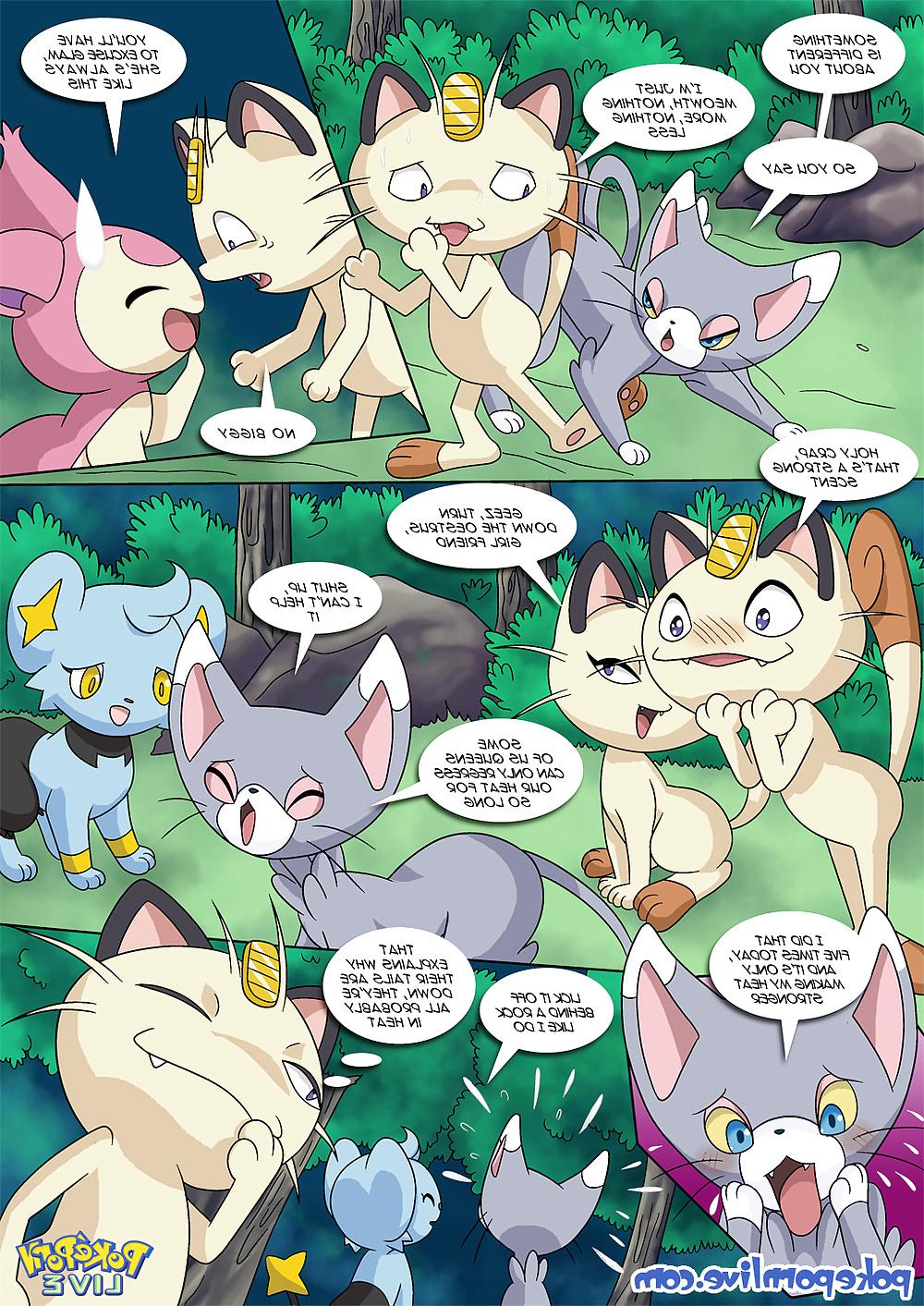 24P Pokeporn Live-The Cat's Meowth