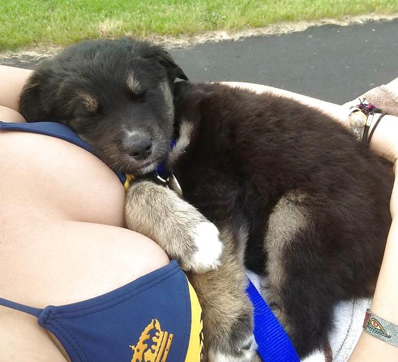 25P Sexy and funny amateur pics 6