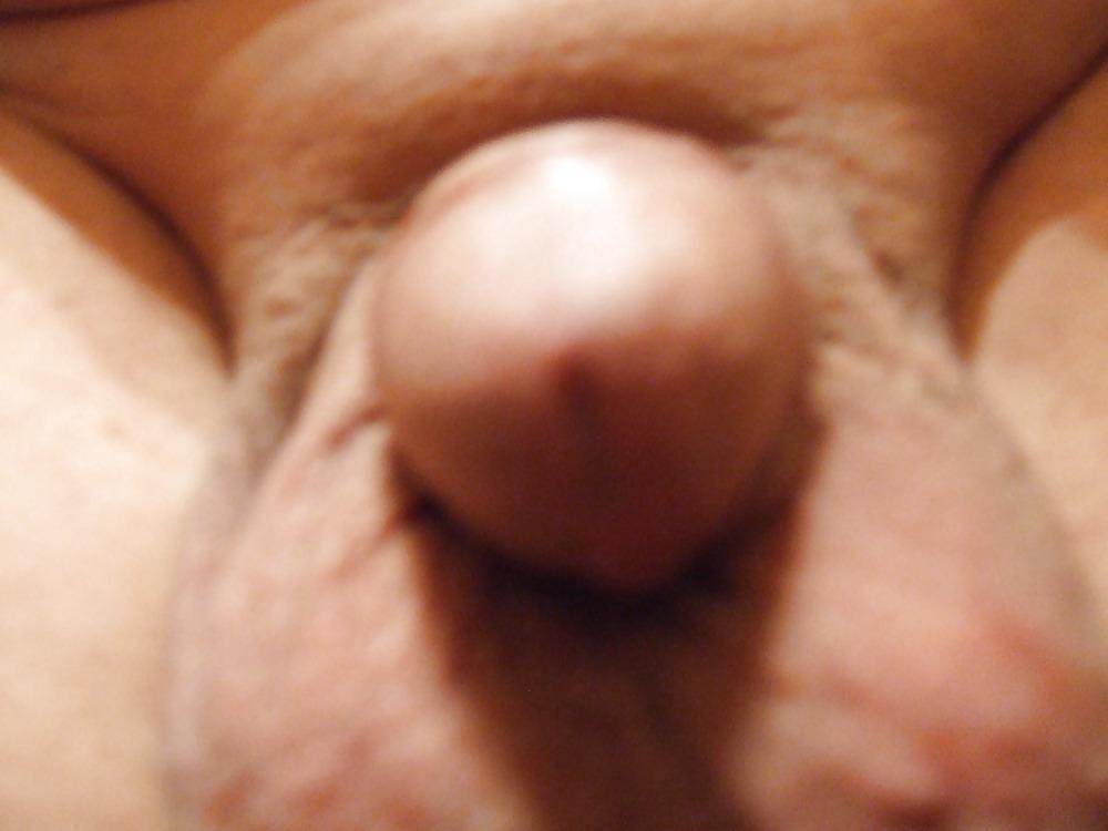 24P My penis