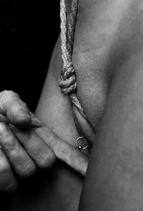15P Dominance and submission 31