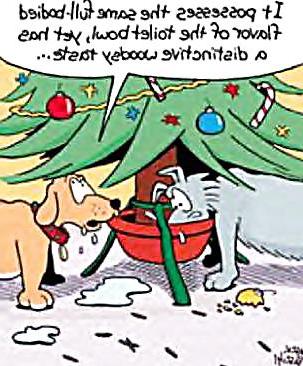 25P Funny Christmas by SLAVE2PUSSY