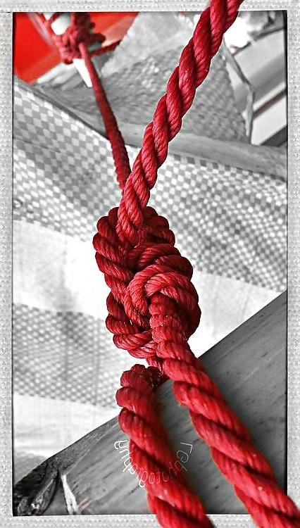 25P Passionate Roping 