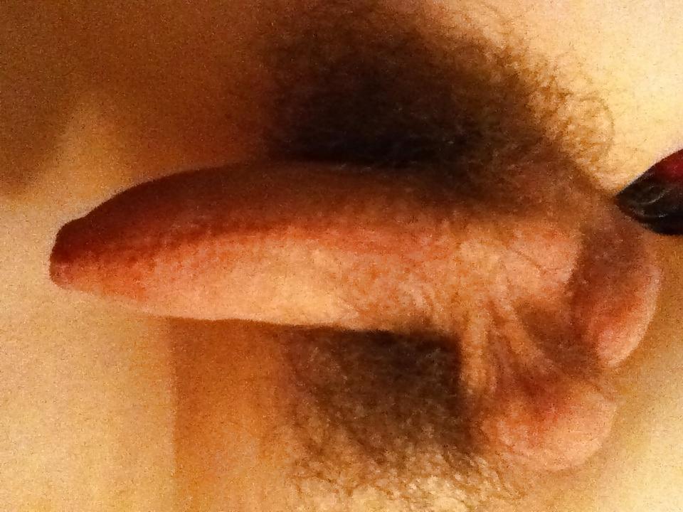 4P My penis