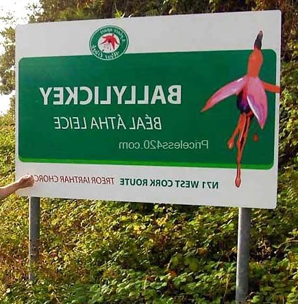 21P Funny signs