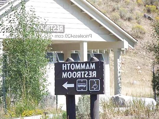21P Funny signs