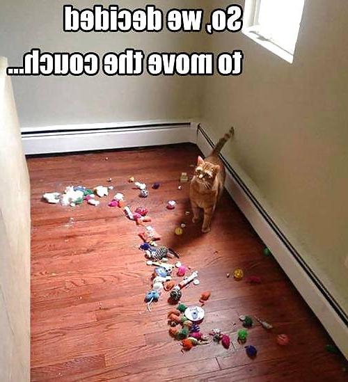 16P Funny Quotes Pics Mixed # 16