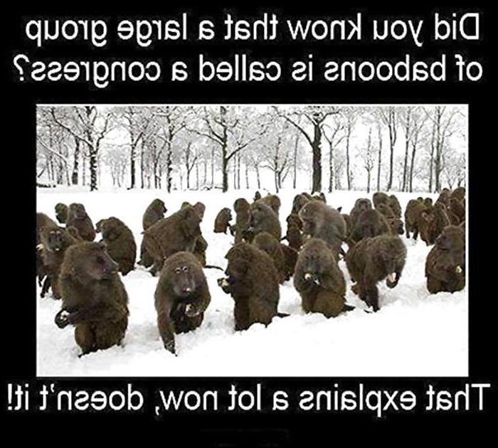 16P Funny Quotes Pics Mixed # 16
