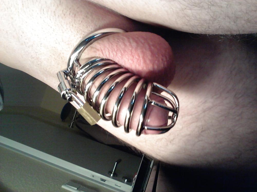 4P Cage