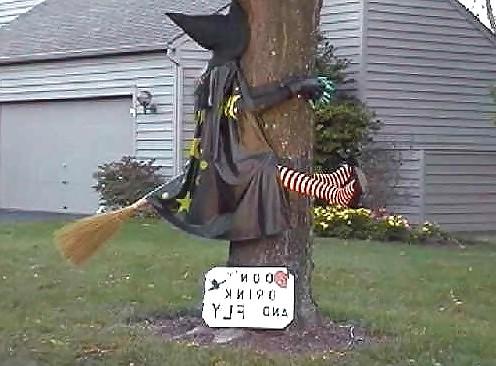 25P Funny pics