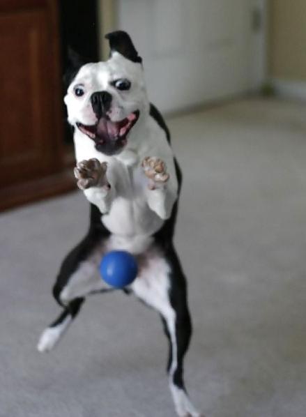 25P Funny pics