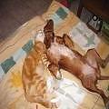 25P Great funny pic's