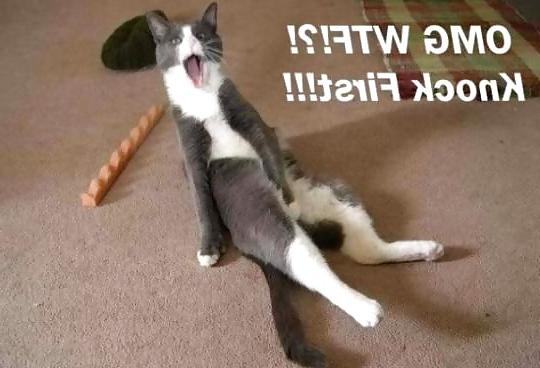 25P Great funny pic's