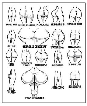 25P Great funny pic's