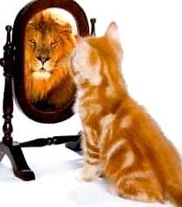 25P Great funny pic's