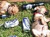 25P Great funny pic's