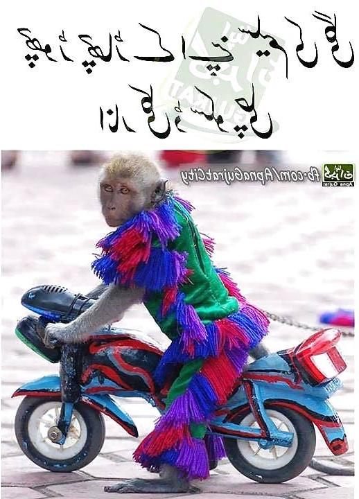 25P Funny Quotes Pics Mixed #2
