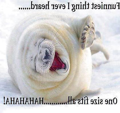 25P Funny Quotes Pics Mixed #2