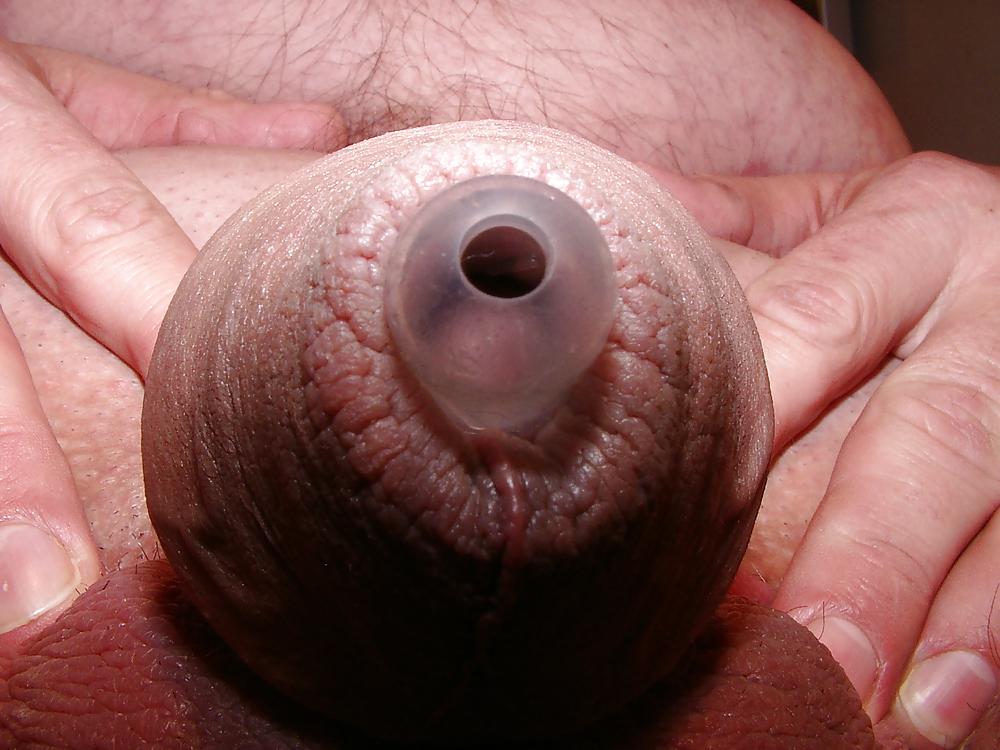 16P Penis  made in poland