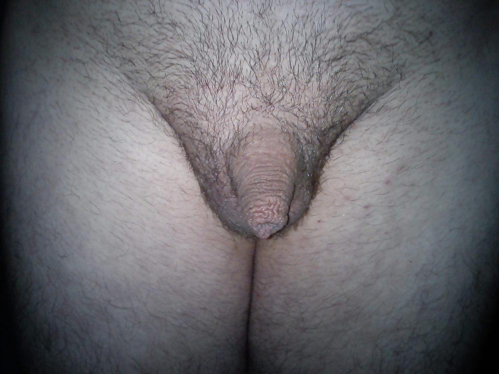 10P Penis, cock, schwanz, willie, pimmel