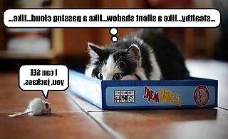 20P Funny quotes and pics #9