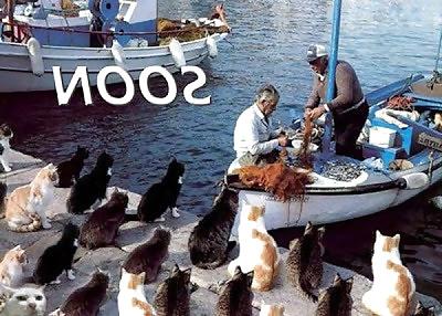 14P More funny things