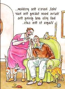 14P More funny things