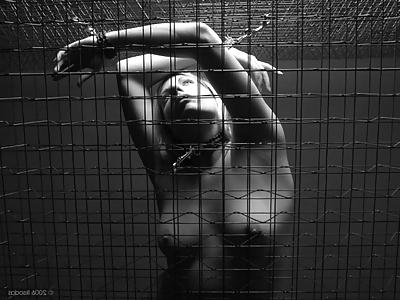 23P Cage 17!
