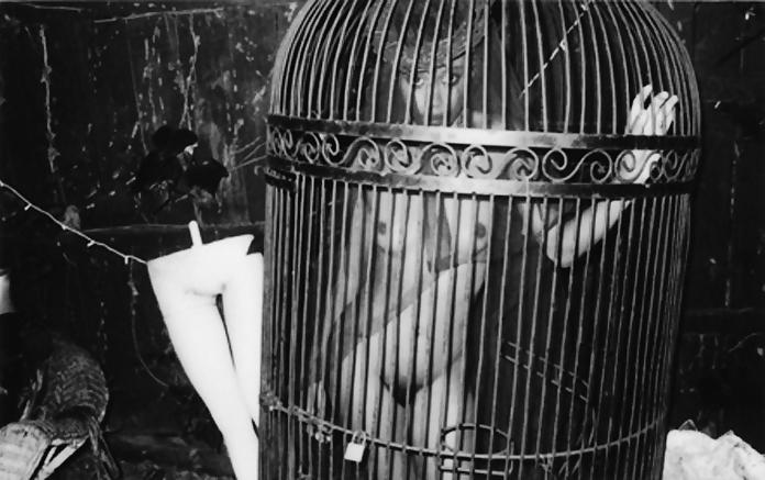 23P Cage 17!