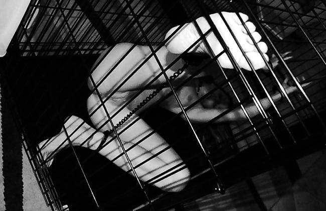 23P Cage 17!