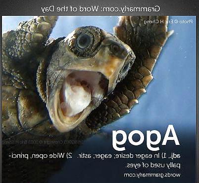 17P Funny quotes and pics #8