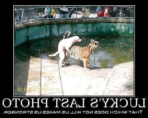 17P Funny quotes and pics #8