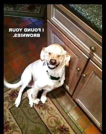 10P Funny quotes and pics mix #7