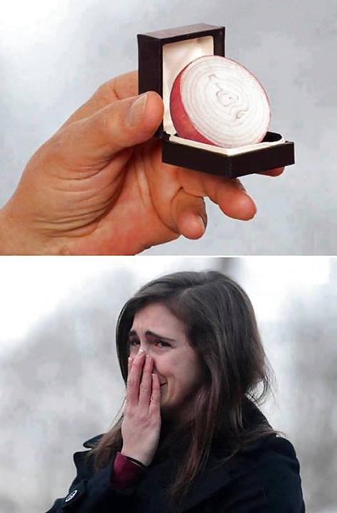 15P Funny  quotes and pics