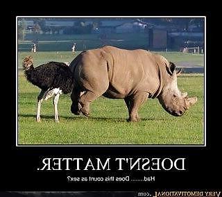 25P Funny
