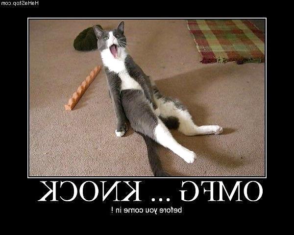 25P Funny