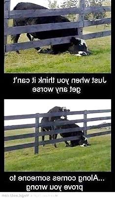25P Funny