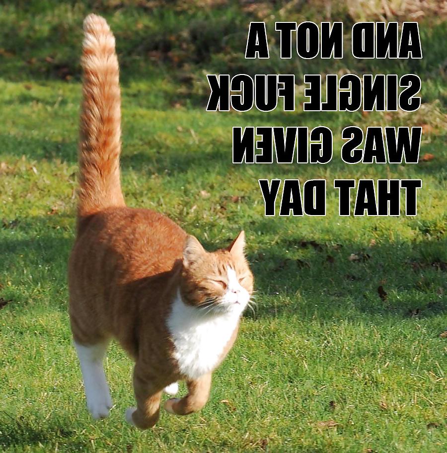 25P Funny Pictures