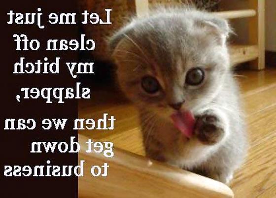 25P Funny Pictures