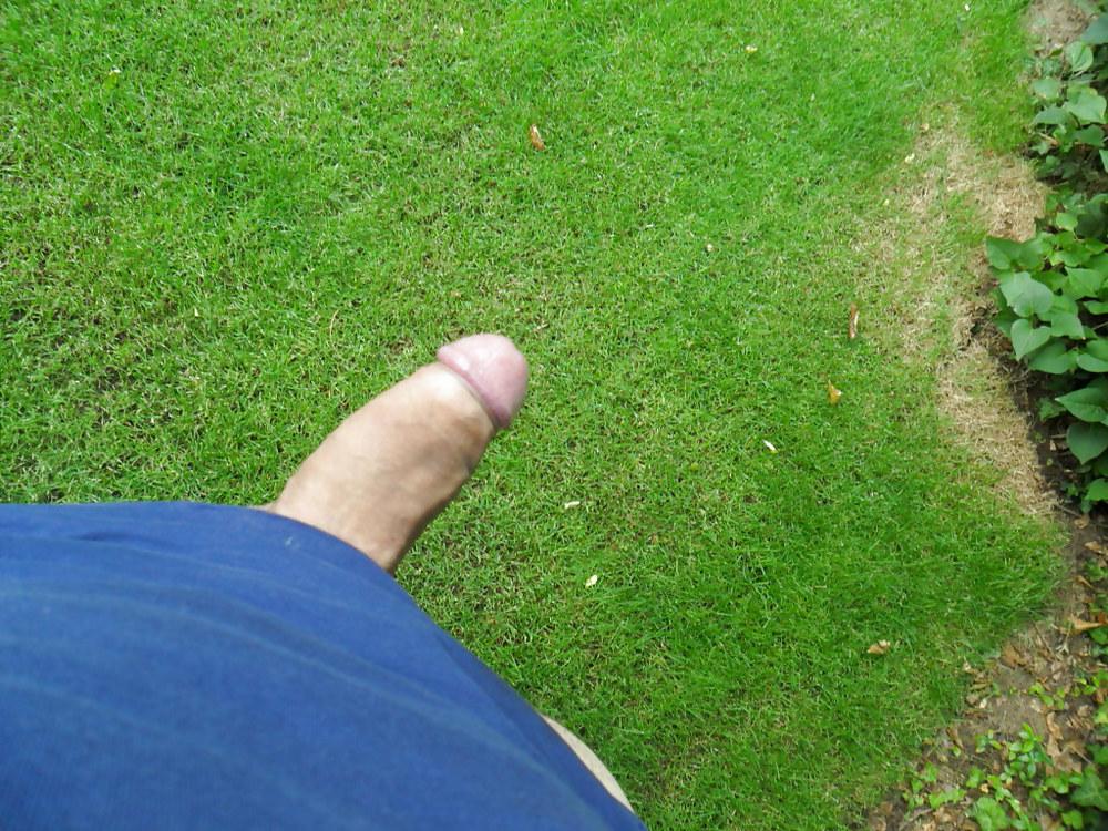 15P Naked at the park