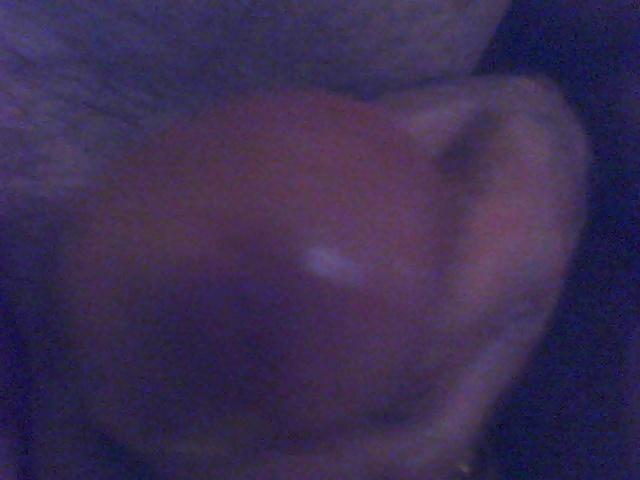 10P Sevisex Paris 9eme penis