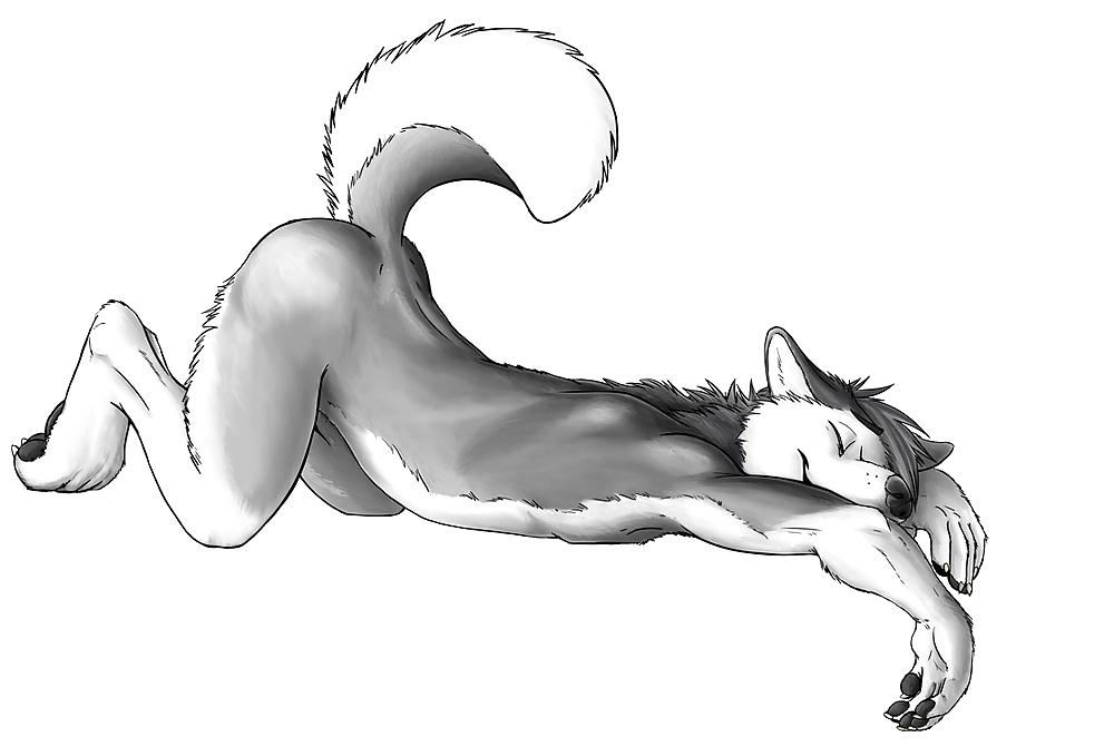 25P Hentai furry