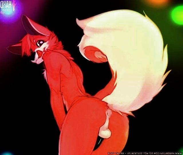 25P Hentai furry