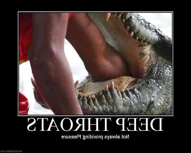 10P Funny pictures