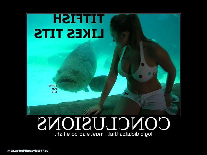 10P Funny pictures