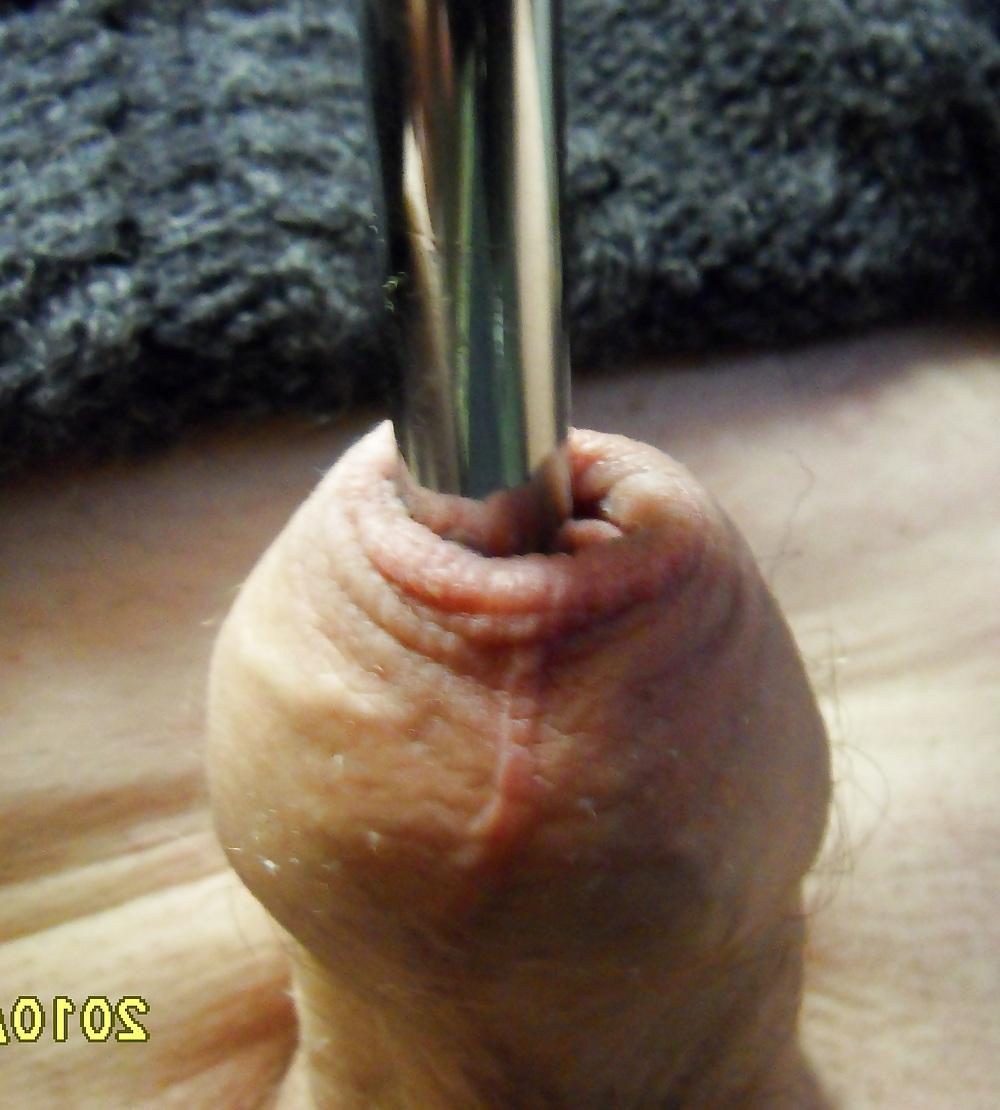 24P Penis with meatotomy and frenulotomy