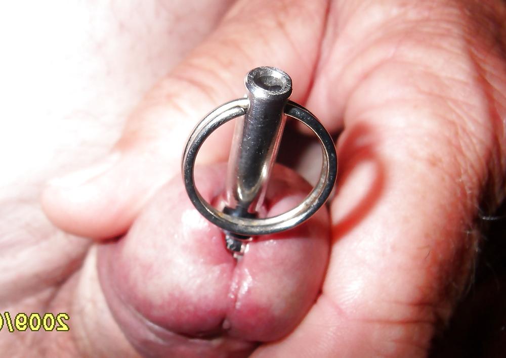 24P Penis with meatotomy and frenulotomy