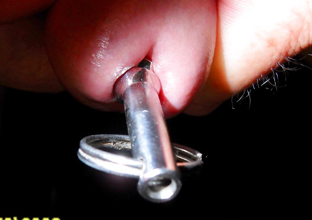 24P Penis with meatotomy and frenulotomy