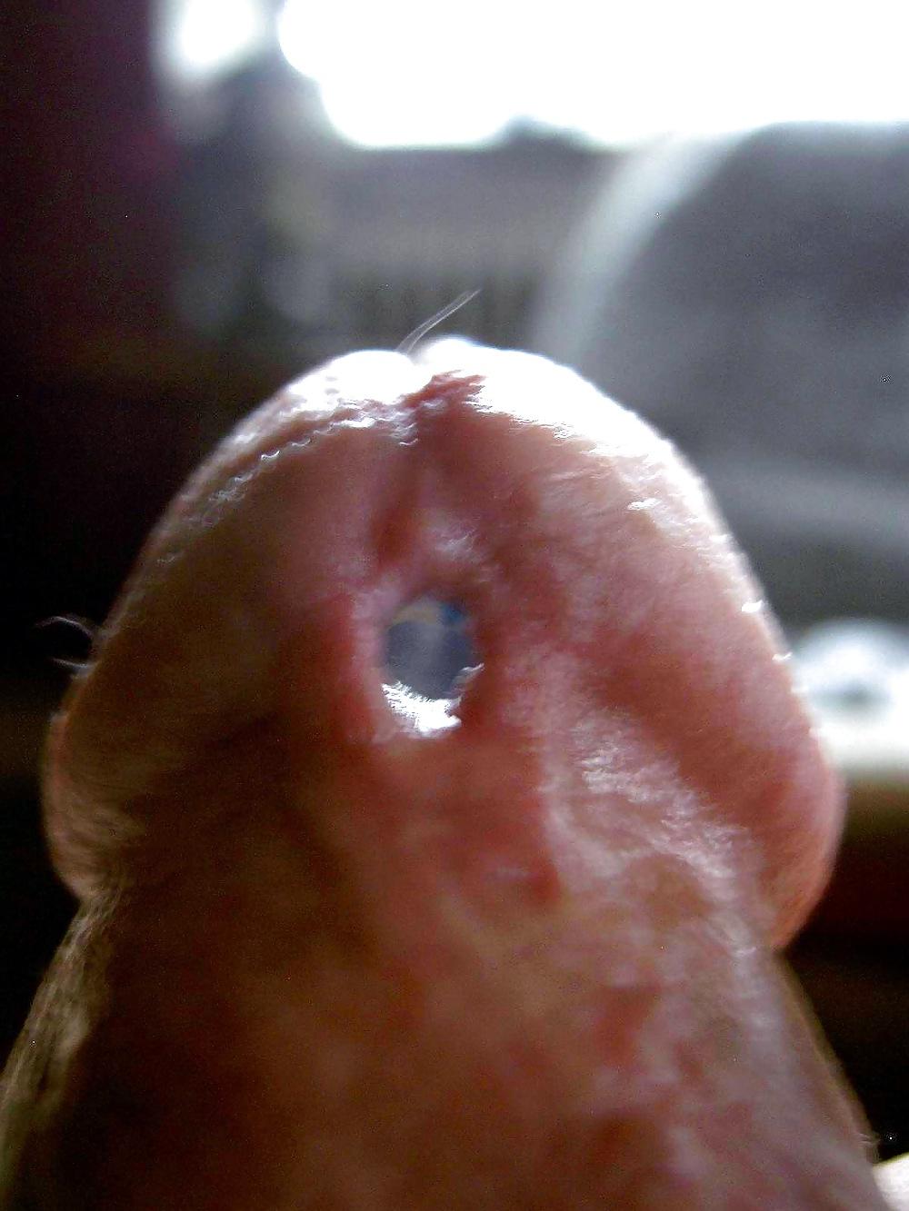 18P Pierced Penis